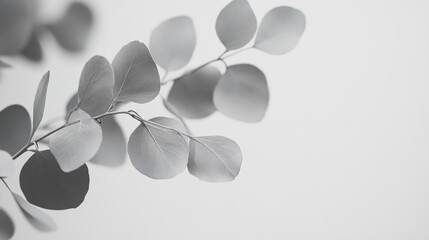 Subtle grey paper backdrop with a smooth surface and simple design, perfect for versatile visual concepts.