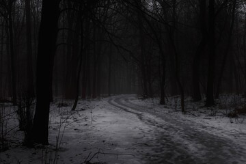 Snow covered road in the woods, winter atmospheric black metal forest, dark horror atmosphere,...
