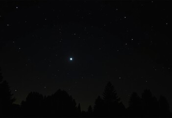 Naklejka premium A night sky with a bright star shining above a dark silhouette of trees.