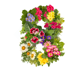 Number 8 made of flowers