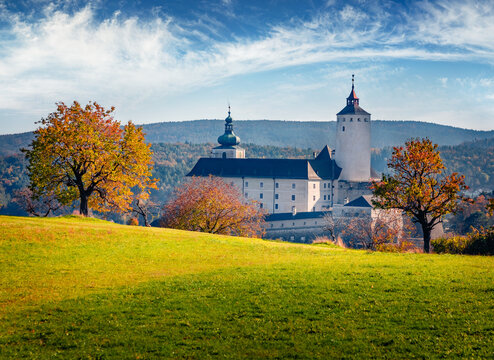 Marvelous autumn view of Forchtenstein Castle, Austria. Wonderful morning scene of apple garden in outskirts  of Forchtenstein town, district of Mattersburg in the Austrian state of Burgenland.