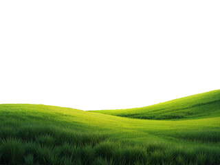 green grassland landscape cut out  isolated on or transparent background