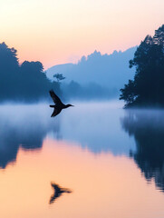 Obraz premium Bird flying over calm lake during sunrise in misty landscape