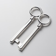 two silver keys on a white background