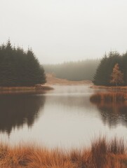 Serene reflection at a quiet lake autumn landscape nature foggy environment tranquil viewpoint