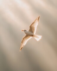 Fototapeta premium A lone bird soaring high in the open sky nature serene atmosphere inspirational concept