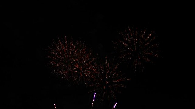 pink lilac blue sparks scatter fireworks on black night sky. General plan