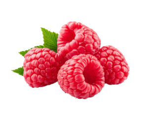 Raspberries isolated on white background, cutout