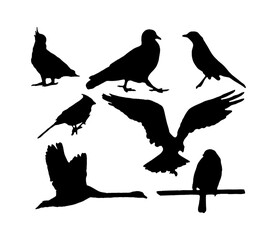 bird, silhouette, vector, birds, animal, illustration, nature, black, wildlife, flying, wild, pigeon, sparrow, wings, drawing, fly, wing, design, dove, beak, symbol, crow, branch, set, animals
