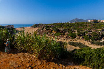 picturesque coastal landscape with a woman standing amidst lush greenery, overlooking a serene beach, rocky cliffs, and a distant mountain range under a clear blue sky