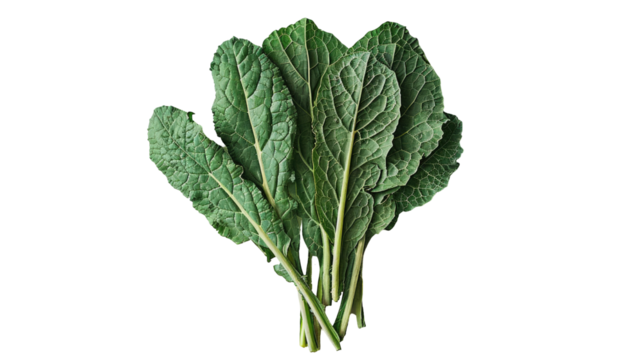 bunch of leaves A bunch of fresh parsley iso lated background