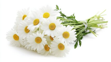 A bouquet of white daisies with yellow centers.