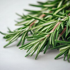 Fototapeta premium close-up of fresh rosemary sprigs