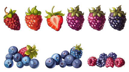 berries  isolated background