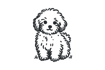 Minimalistic hand drawn Maltipoo illustration with bold black lines on white