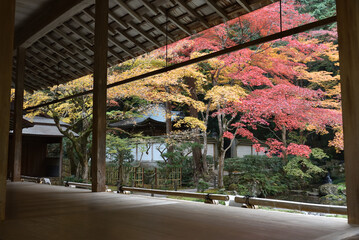 Obraz premium 秋の南禅院 方丈から見る庭園(京都市左京区)