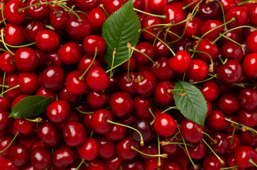 Fresh cherries as background, top view
