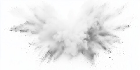 Fototapeta premium Abstract White Explosion of Powder on a White Background
