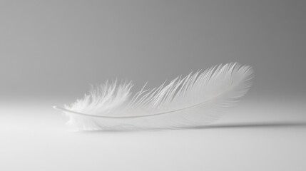 close-up of a single white feather on a white surface