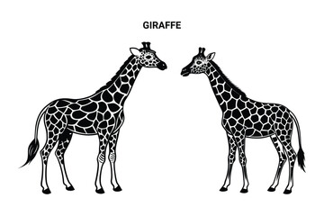 Obraz premium Editable Silhouette Giraffe Isolated Vector Illustration