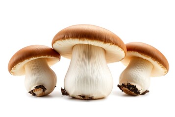 Fototapeta premium Three fresh brown porcini mushrooms with white stems and visible soil on a white background