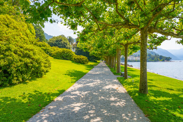 A tranquil pathway lined with trees invites visitors to stroll by the shores of Lake Como in Bellagio, Italy, showcasing beautiful greenery and serene water views under the sun.