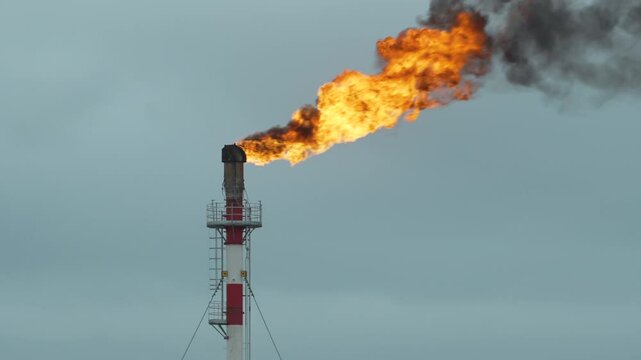 Torch burns with huge flame. Associated gas burn on Oil field. Gas burner. Fire from pipe.