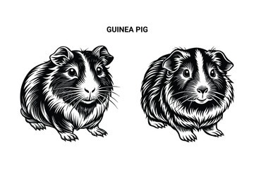 Editable Silhouette Guinea Pig Isolated Vector Illustration