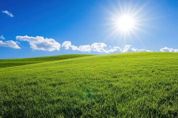 Fototapeta premium green grassy hill under a bright blue sky