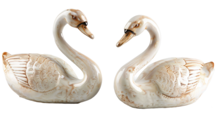 A pair of elegant swan isolated