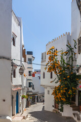 Fototapeta premium picturesque Mediterranean street scene with whitewashed buildings, vibrant flowers, and a clear blue sky, creating a charming and inviting atmosphere