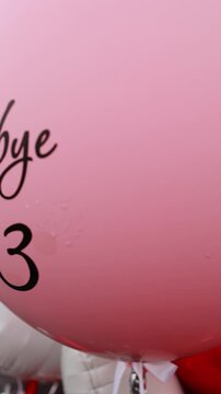 Celebratory Pink Balloon with Goodbye 23 Message Marks Special Occasion, Balloon Celebration Concept