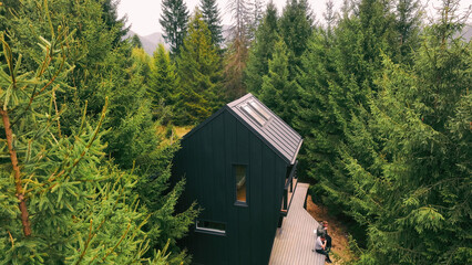 Modern Cabin Retreat in Dense Forest. A sleek, black modern cabin nestled among dense pine trees,...