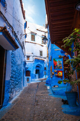 Fototapeta premium narrow street in a blue-washed town Chefchaouen, featuring colorful buildings, a street lamp, and a glimpse of local life