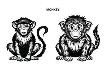 Editable Silhouette Monkey Isolated Vector Illustration