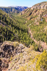 A mountain range with a forest in the valley