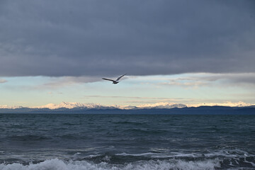 One Winter Day on the Coast IV