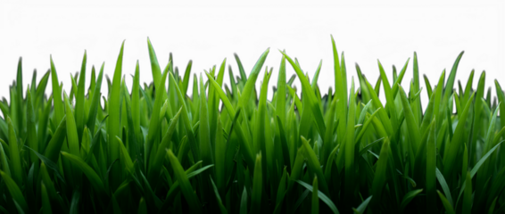 Woman in a short top with a bare plump belly, overweight, body positive, acceptance of your own body, body imperfection, weight gain after childbirth, age-related changes in the figure