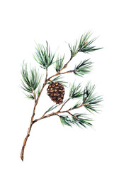 Fototapeta premium Watercolor illustration of pine branches with cones on a white background. Hand-drawn botanical elements clipart set perfect for holiday designs, greeting cards, invitations, or seasonal decorations.
