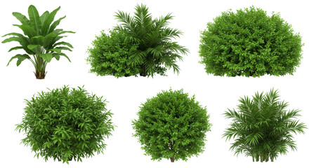 PNG, set of grass, landscape, environment concept design, colorful season, green plants, wildflowers, blooming shrub, eco-friendly landscape