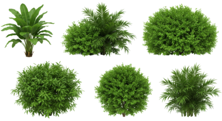 PNG, set of grass, landscape, environment concept design, colorful season, green plants, wildflowers, blooming shrub, eco-friendly landscape