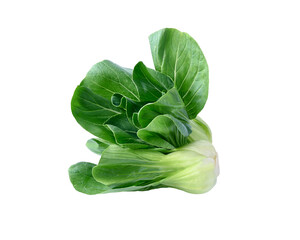 Baby vegetables Choy isolated on  transparent png