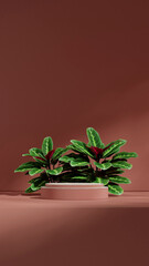 minimal scene, 3d render image empty space ceramic texture curved cylinder podium in portrait