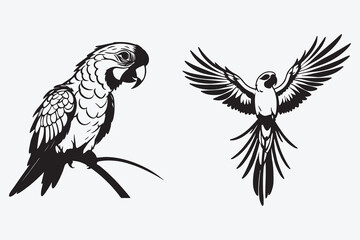 Parrot silhouette vector style with white background Art & Illustration