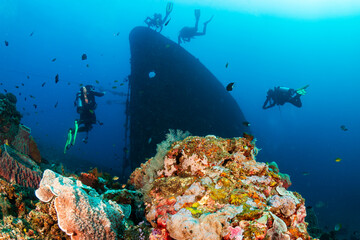 SCUBA divers around the silhouette of a large sunken shipwreck in a warm, tropical ocean (Boga,...