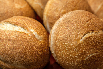 Home baked wheat rolls. Breeds with fluffy crumb and golden crust for sandwiches.