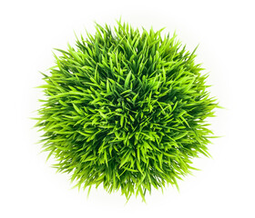 the creative grass ball