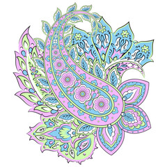 Isolated Vector Paisley pattern in floral indian style