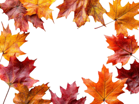 Autumn maple leaves border with vibrant orange, red, and yellow foliage, seasonal frame for fall-themed design, nature background isolated on transparent background