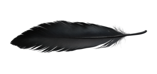 Dark feather with smooth texture and pointed tip, elegant black quill design, natural feather illustration for writing or decorative use isolated on transparent background